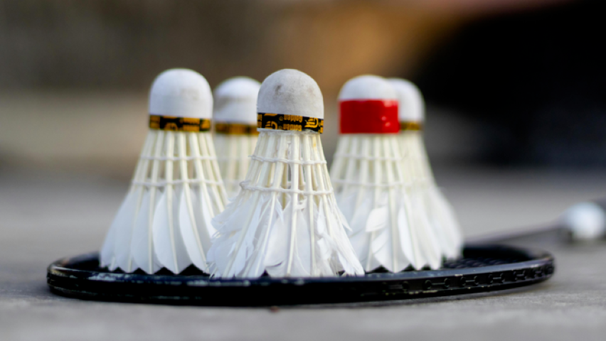 Shuttlecocks